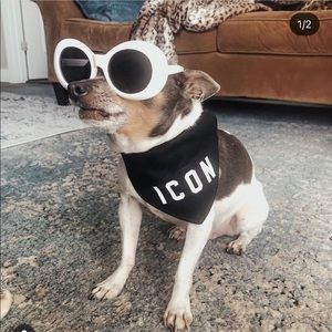 Xs “icon” schitt’s creek cat or dog bandana (glasses not included)